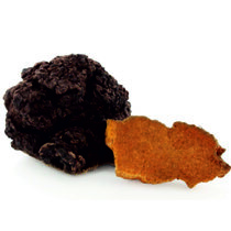 Chaga Pilze Immunsystem